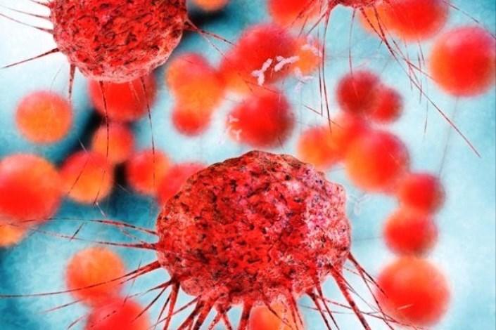 سلول های سرطانی,اخبار پزشکی,خبرهای پزشکی,تازه های پزشکی