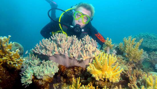 استرالیا,اخبار جالب,خبرهای جالب,خواندنی ها و دیدنی ها