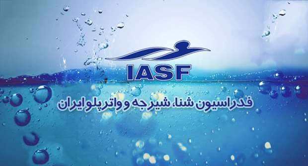 فدراسیون شنای ایران,اخبار ورزشی,خبرهای ورزشی,ورزش