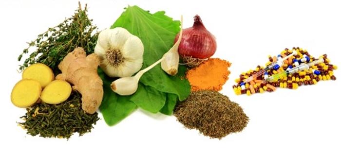 آنتی بیوتیک های طبیعی آنتی بیوتیک های طبیعی,اخبار پزشکی,خبرهای پزشکی,مشاوره پزشکی