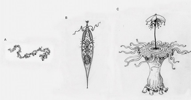 موجودات فضایی موجودات فضایی,اخبار علمی,خبرهای علمی,نجوم و فضا