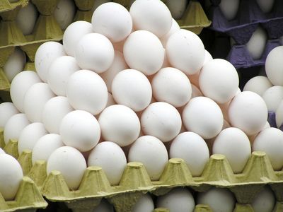 تخم مرغ تخم مرغ,اخبار اقتصادی,خبرهای اقتصادی,کشت و دام و صنعت