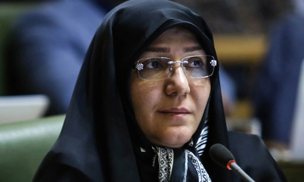 زهرا صدراعظم نور,اخبار اجتماعی,خبرهای اجتماعی,شهر و روستا