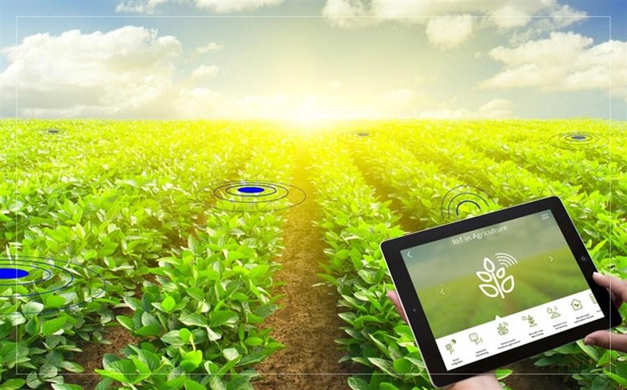 کشاورزی دیجیتال,اخبار علمی,خبرهای علمی,طبیعت و محیط زیست