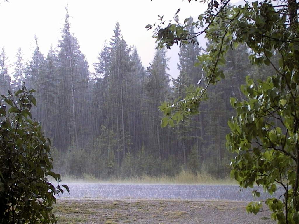 میزان بارندگی میزان بارندگی,اخبار اجتماعی,خبرهای اجتماعی,محیط زیست