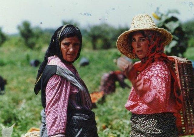 فیلم روسری آبی فیلم روسری آبی,اخبار فیلم و سینما,خبرهای فیلم و سینما,سینمای ایران