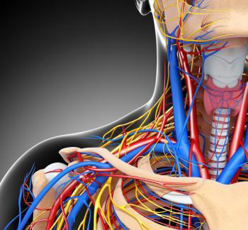 گردن‌درد,اخبار پزشکی,خبرهای پزشکی,مشاوره پزشکی