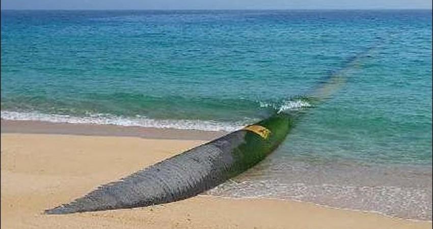 انتقال آب دریا به کویر,اخبار اجتماعی,خبرهای اجتماعی,محیط زیست