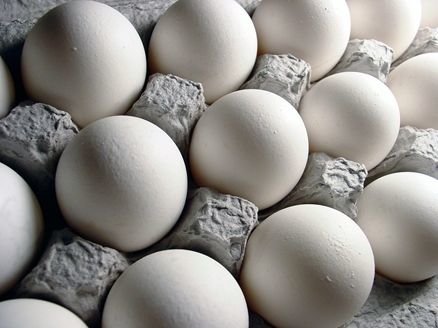 تخممرغ تخممرغ,اخبار اقتصادی,خبرهای اقتصادی,کشت و دام و صنعت