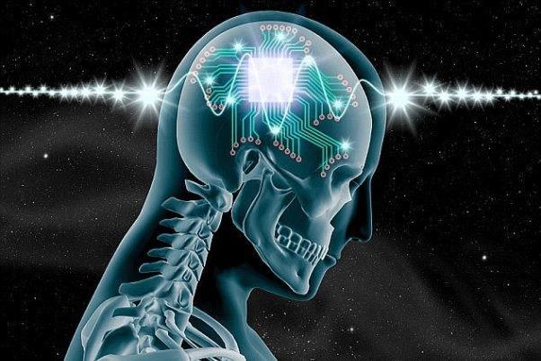 مغز,اخبار دیجیتال,خبرهای دیجیتال,اخبار فناوری اطلاعات