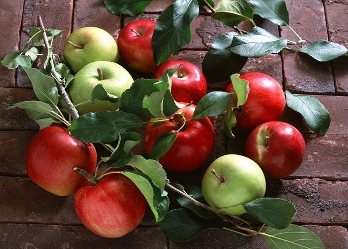 سیب,اخبار پزشکی,خبرهای پزشکی,مشاوره پزشکی
