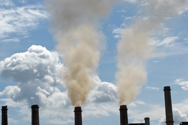 زغال سنگ,اخبار اجتماعی,خبرهای اجتماعی,محیط زیست