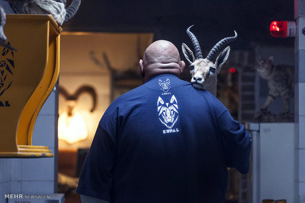 فیلم کوپال فیلم کوپال,اخبار فیلم و سینما,خبرهای فیلم و سینما,سینمای ایران