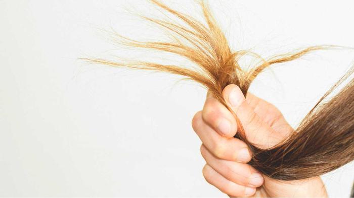 کمبود پروتئین,اخبار پزشکی,خبرهای پزشکی,مشاوره پزشکی