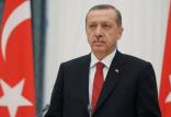 اردوغان,اخبار سیاسی,خبرهای سیاسی,سیاست خارجی