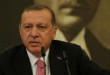 رجب طیب اردوغان,اخبار سیاسی,خبرهای سیاسی,خاورمیانه