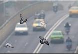 آلودگی هوا,اخبار خودرو,خبرهای خودرو,بازار خودرو
