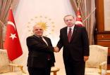 اردوغان وحیدر العبادی,اخبار سیاسی,خبرهای سیاسی,خاورمیانه