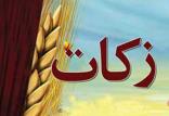 زكات,اخبار مذهبی,خبرهای مذهبی,فرهنگ و حماسه