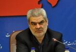 محسن صالحی نیا,اخبار خودرو,خبرهای خودرو,بازار خودرو