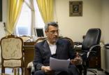 حمید بعیدی نژاد,اخبار سیاسی,خبرهای سیاسی,سیاست خارجی