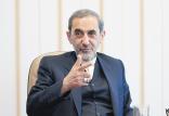 علی‌اکبر ولایتی,اخبار سیاسی,خبرهای سیاسی,سیاست خارجی