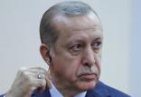 رجب طیب اردوغان,اخبار سیاسی,خبرهای سیاسی,خاورمیانه