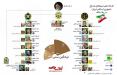 اینفوگرافیک فرماندهی نیروهای مسلح کشور