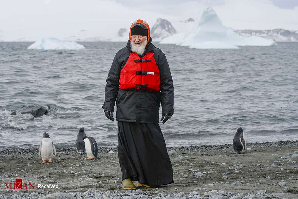 تصاویر قطب جنوب,عکسهای زیبا از قطب جنوب,تصاویر زیبا از پنگوئن ها,