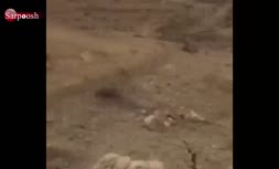 صحنه هایی از شکافته شدن کوه در زلزله کرمانشاه + فیلم 