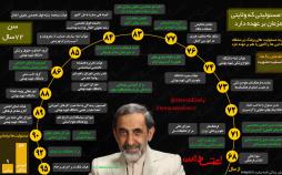 اینفوگرافیک مسئولیت‌های علی اکبر ولایتی