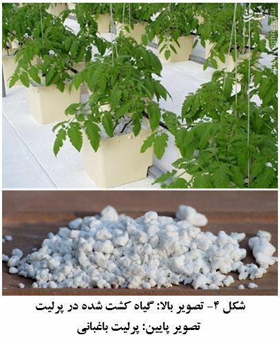 کِشت بدون خاک,اخبار اقتصادی,خبرهای اقتصادی,کشت و دام و صنعت