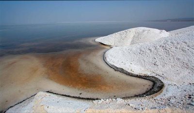 دریاچه نمک قم,اخبار اجتماعی,خبرهای اجتماعی,محیط زیست
