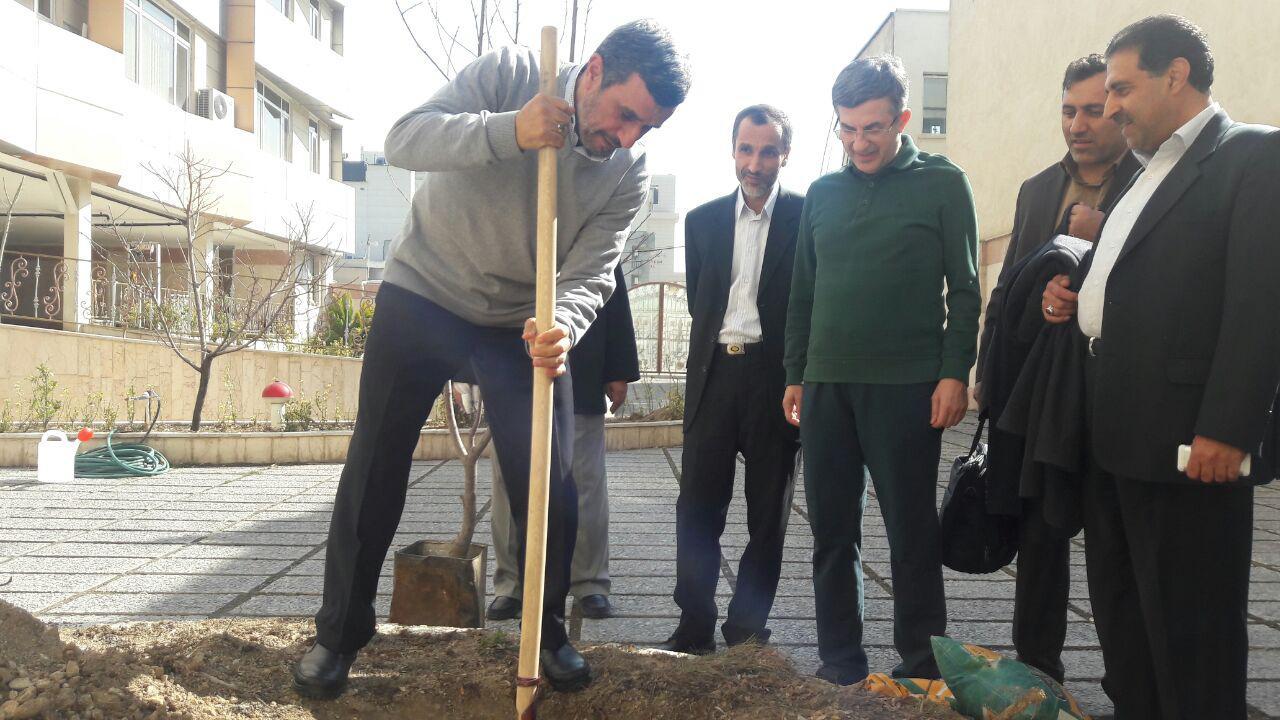 احمدی‌نژادی‌,اخبار سیاسی,خبرهای سیاسی,اخبار سیاسی ایران