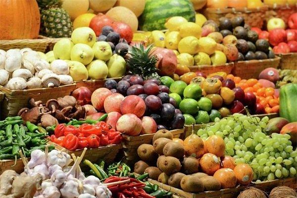 صادرات میوه صادرات میوه,اخبار اقتصادی,خبرهای اقتصادی,کشت و دام و صنعت
