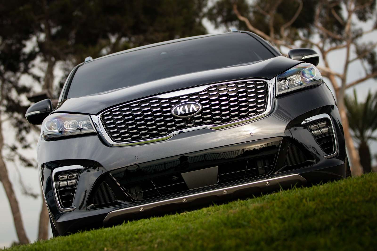 کیا سورنتوی 2019 کیا سورنتوی 2019,اخبار خودرو,خبرهای خودرو,مقایسه خودرو