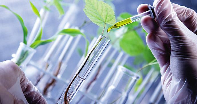 ژن گیاهان مقاوم,اخبار علمی,خبرهای علمی,طبیعت و محیط زیست