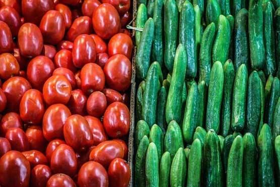 خیار و گوجه فرنگی خیار و گوجه فرنگی,اخبار اقتصادی,خبرهای اقتصادی,اصناف و قیمت