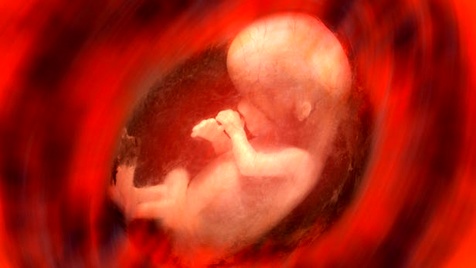 جنین جنین,اخبار پزشکی,خبرهای پزشکی,تازه های پزشکی