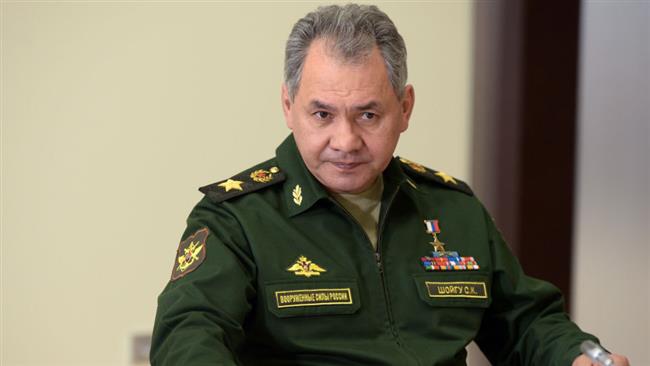 سرگئی شویگو,اخبار سیاسی,خبرهای سیاسی,خاورمیانه