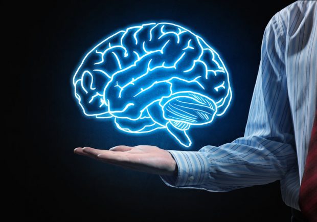 نیمکره های مغز نیمکره های مغز,اخبار پزشکی,خبرهای پزشکی,تازه های پزشکی