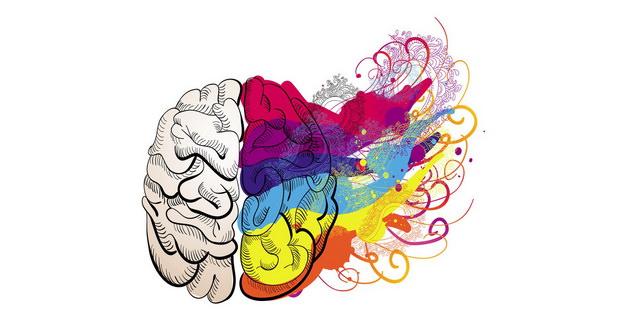 نیمکره های مغز نیمکره های مغز,اخبار پزشکی,خبرهای پزشکی,تازه های پزشکی