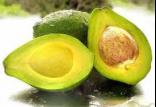 هسته آووکادو,اخبار پزشکی,خبرهای پزشکی,تازه های پزشکی
