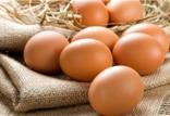 تخم مرغ,اخبار اقتصادی,خبرهای اقتصادی,کشت و دام و صنعت