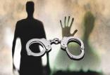 دستگیری,اخبار حوادث,خبرهای حوادث,جرم و جنایت
