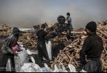 اشتغال اتباع خارجی,اخبار اشتغال و تعاون,خبرهای اشتغال و تعاون,اشتغال و تعاون