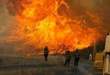 آتش سوزی کالیفرنیا,اخبار علمی,خبرهای علمی,طبیعت و محیط زیست