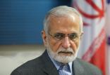 کمال خرازی,اخبار سیاسی,خبرهای سیاسی,سیاست خارجی