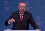 اردوغان,اخبار سیاسی,خبرهای سیاسی,خاورمیانه