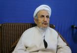 آیت الله صانعی,اخبار سیاسی,خبرهای سیاسی,مجلس
